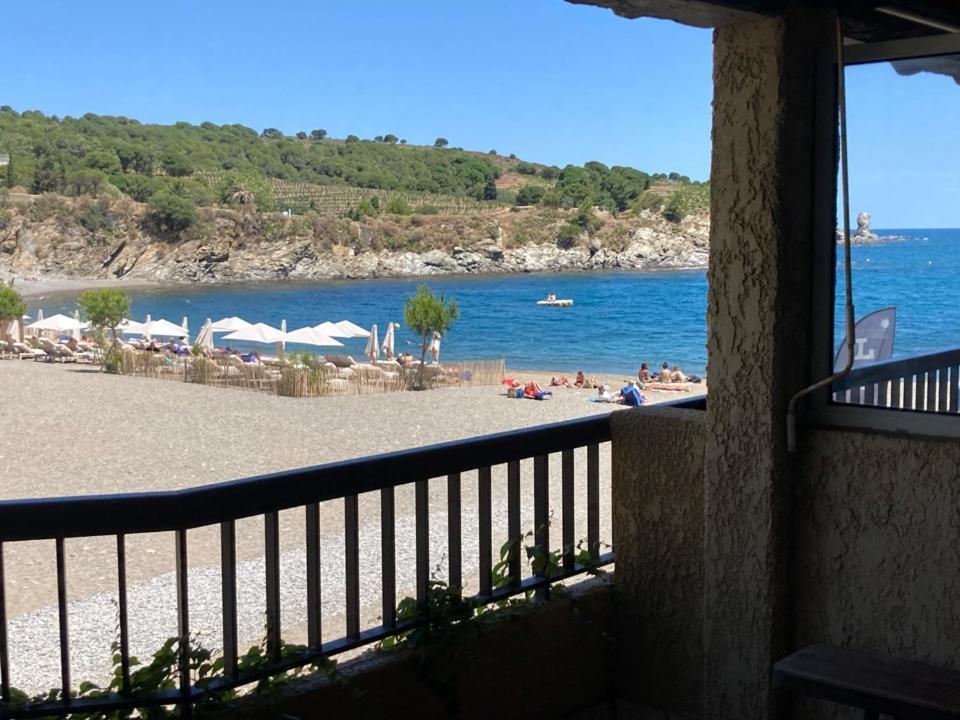 Apartamento Les Pieds Dand L'Eau Banyuls-sur-Mer Exterior foto